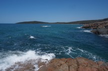 DSC01420