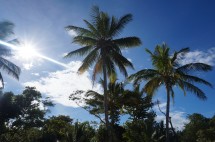 DSC01704