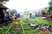 IMG_0686 - Copy